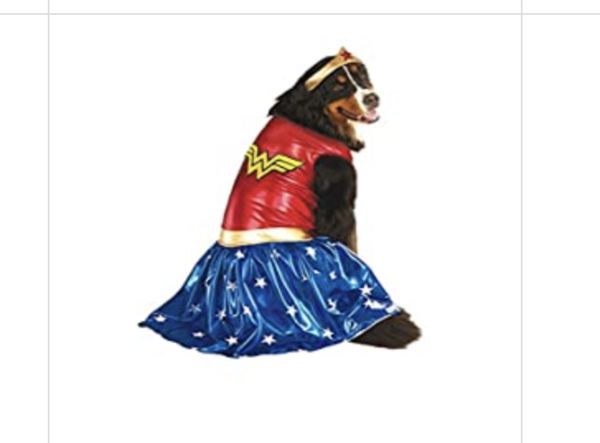The only way I'd get a costumed dog. And a super h...