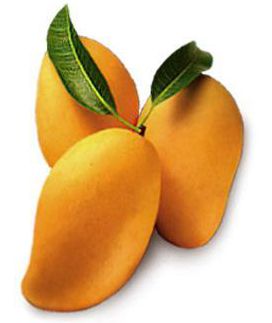 ripe mangoes...