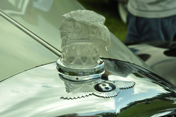 1952 Bentley R Type Hood Ornament...