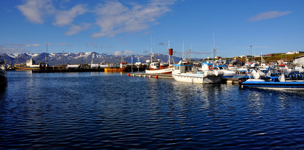4 - Busy Husavik harbor on Skjalfandi bay with the...