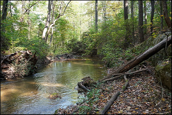 8. Looking downstream from the fall....