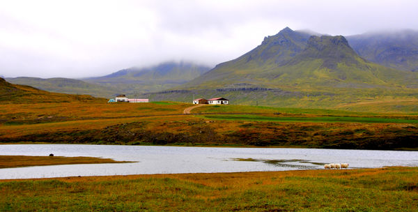9 - Rural scenery below the Snaefellsjökull glacie...
