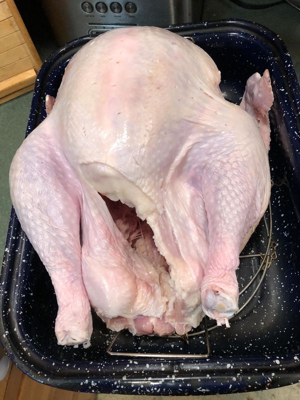 One pale, naked bird about to be stuffed and put i...
