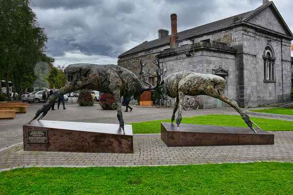 "The Red Deer of Ireland" sculpture by Don Cronin ...