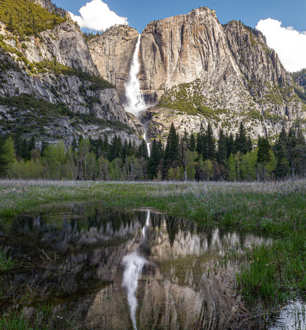 Upper and Lower Yosemite Falls with reflections fr...