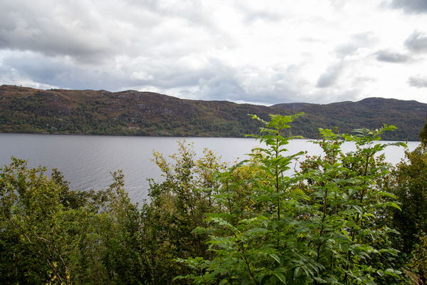 Loch Ness from the side of the highway, Nessie jus...