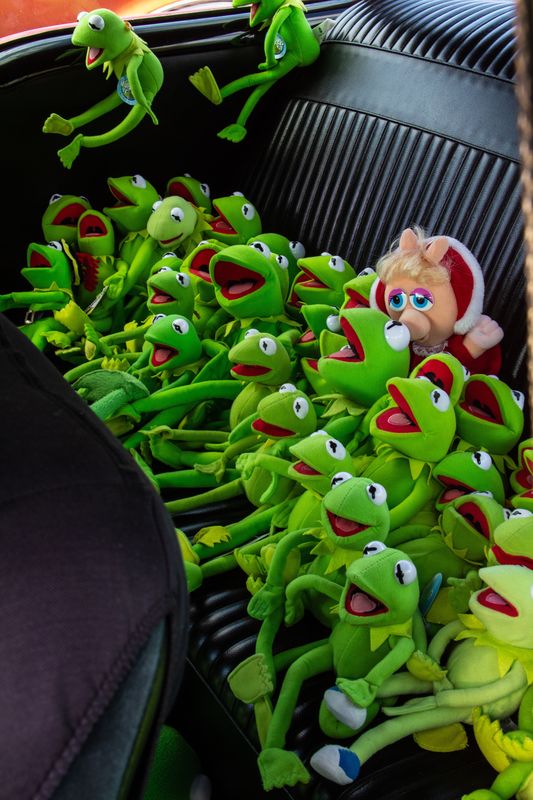 ...and a whole bunch of Kermit imposters in the ba...