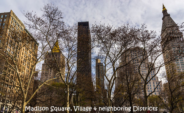 1 - Madison Square Park and surrounding buildings,...