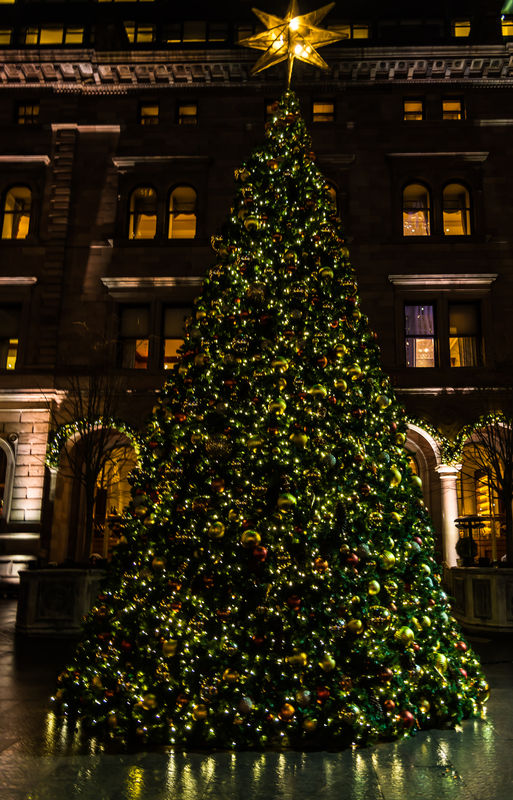 Winter & Christmas in New York City 17 Midtown Streets/Palace Hotel