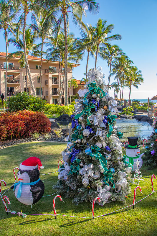 Kauai at Christmas Part 1 We went to Hawaii in the summer of 2019