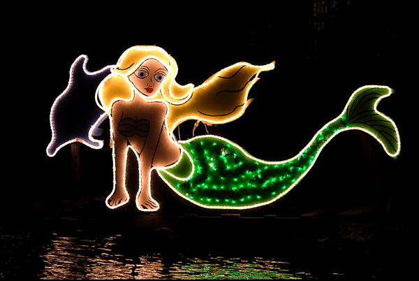 1. A little mermaid....