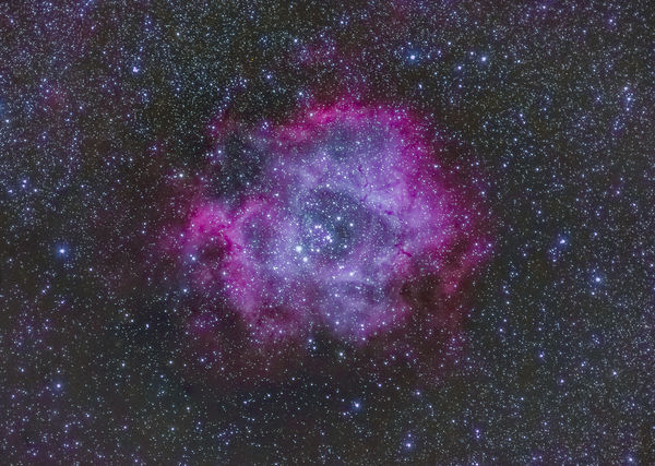 Rosette Nebula...