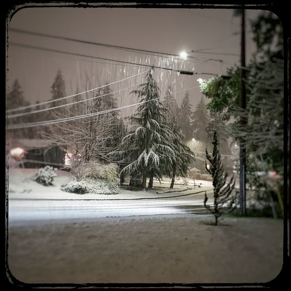 Around 5 pm, we got a little snow. The last two pi...