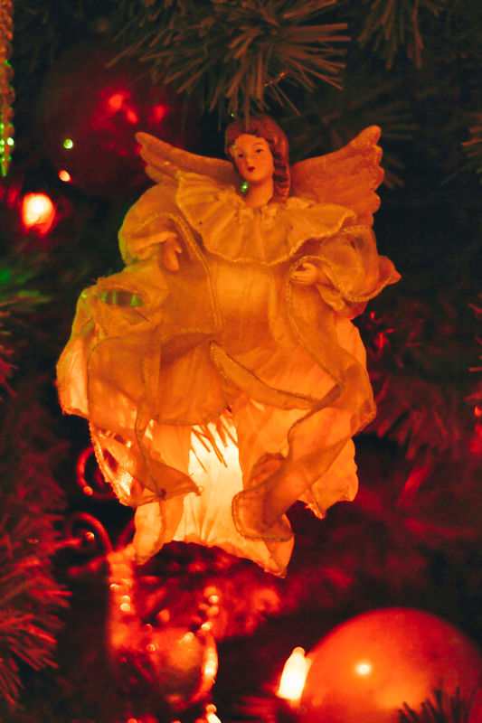 Angel on my Tree...