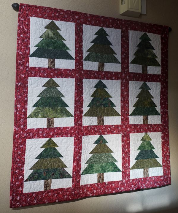 Dee's pine tree quilt has been hung in the entry h...