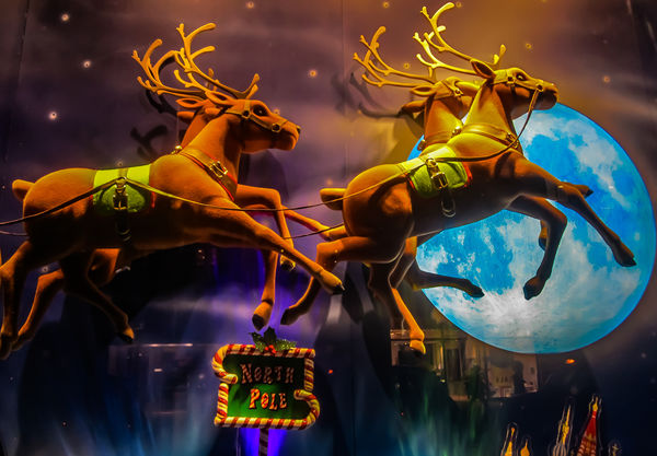 7 - Hamleys windows: From the North Pole, the Rein...