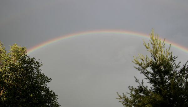 Rainbow in the sky...