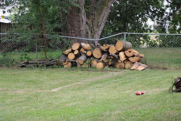 Wood pile from July storm....