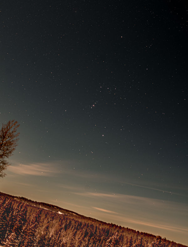 The Orion Constellation (slightly cropped)(A7S,35m...