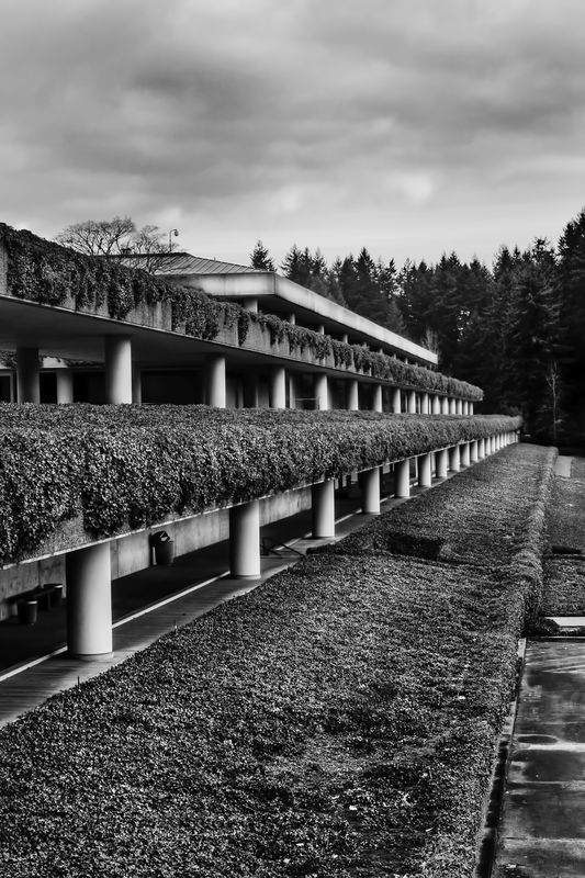 Weyerhaeuser Facility The Weyerhaeuser Company, a long staple in the Pacific Northwest. They