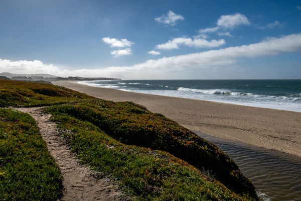 Venice Beach State Park, looking South...