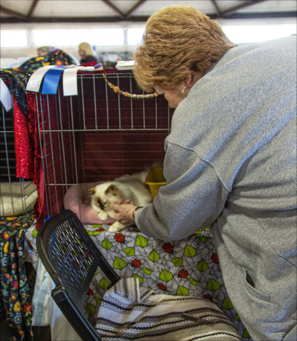 One of her favorite things to do My wife Lynne pets a 6month old