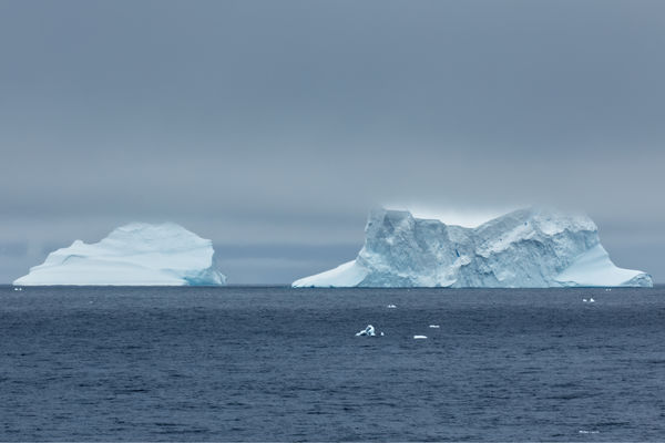 Some of the first icebergs we saw...