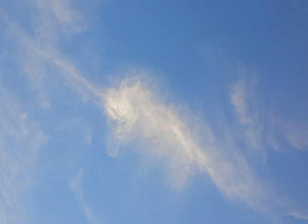 I actually saw a "unicorn " cloud! (Taken with my ...