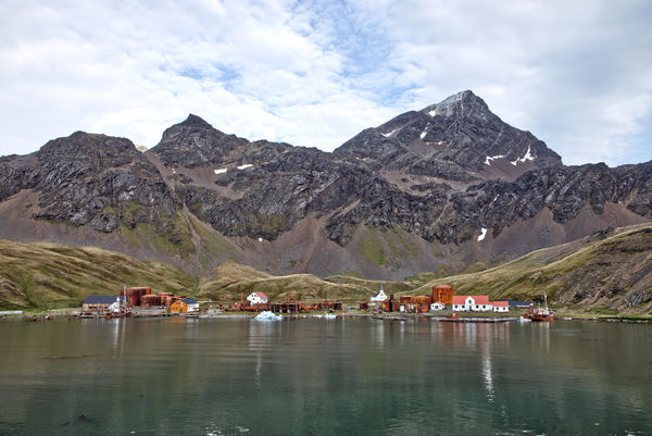The Whaling village of Grytviken...