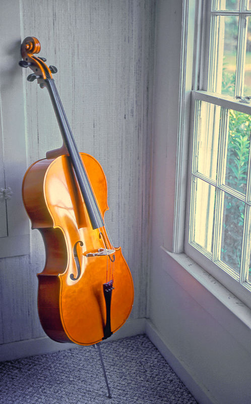 1.  Jenny's Cello...