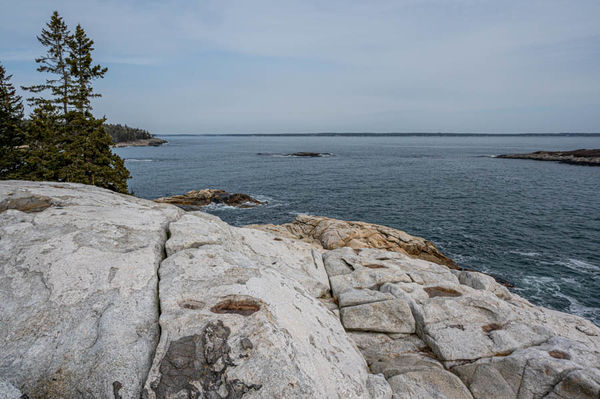 Trees, rocks, ocean - typical Maine...