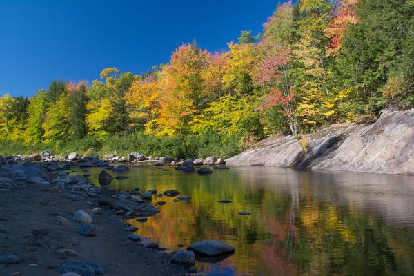 Fall foliage - Maine/NH border...