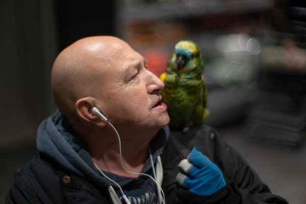 Man with his parrot in a supermarket, Milan...