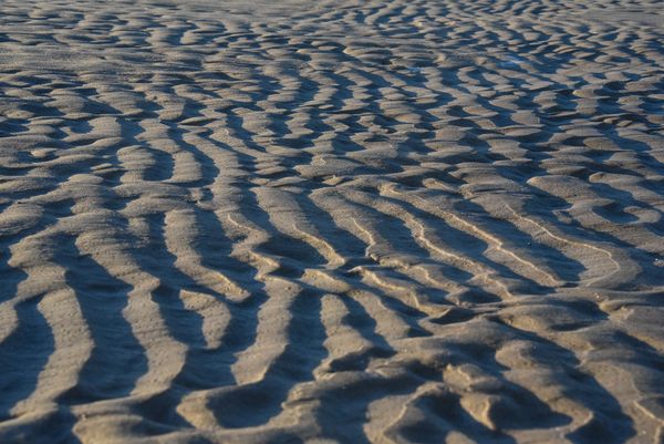 Beach sand - Wells, ME...