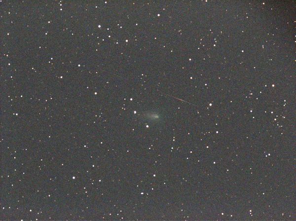 C2019 Y4 (Atlas Comet) 90s 1  (90s)  Xflip...