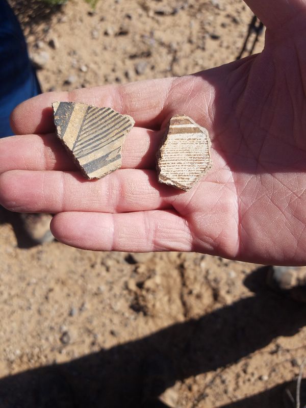 Found some Pre-columbian pottery sherds (left them...