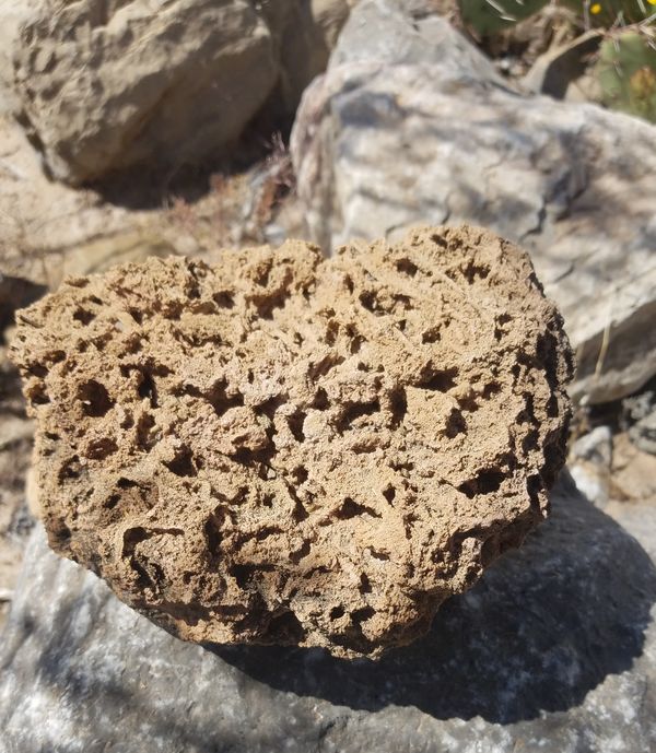 Found interesting things on another desert hike; f...