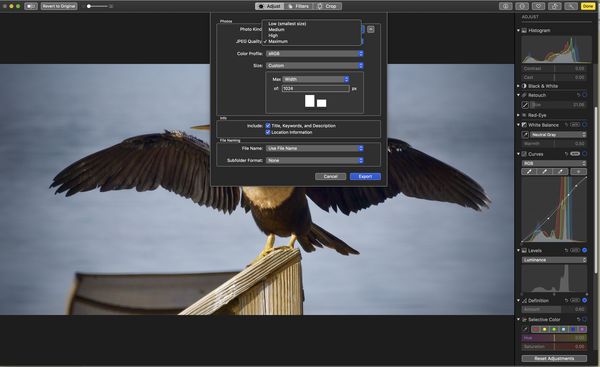 adobe photoshop for mac os catalina free download