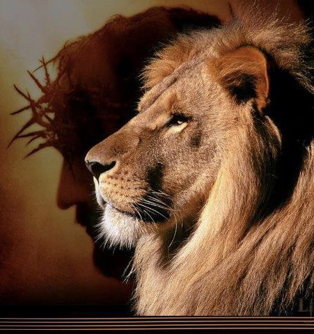The Lion Of Judah Revelation 5:5...