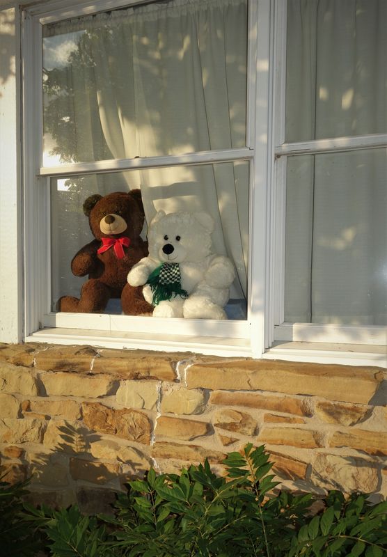 4....We still have our Bears in the garage window ...