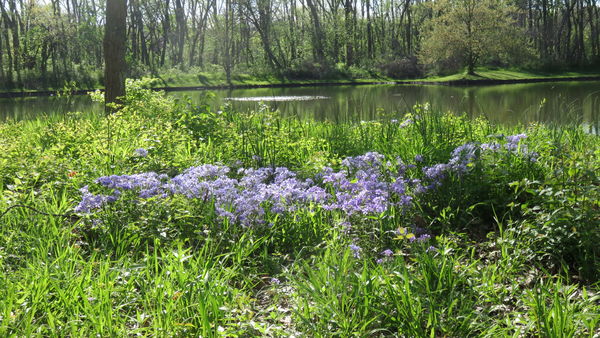 St. George Ks Spring SPRINGTIME IN KANSAS: One of the few bright spots in this time of ...