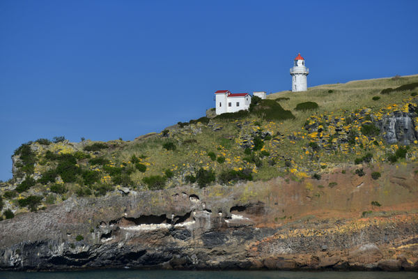 Taiaroa Head Lighthouse...