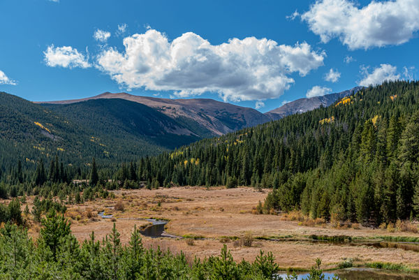 View of meadow beneath Continental Divide...