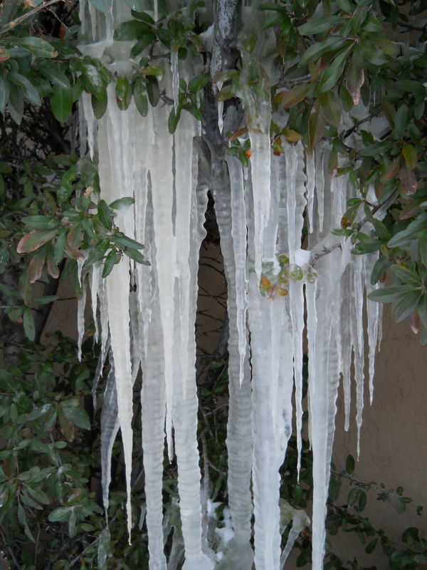 icicles...