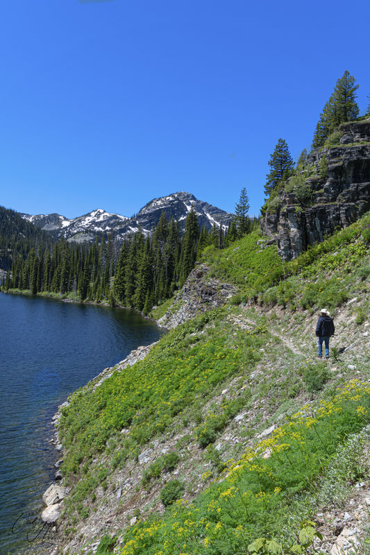 Piper Lake Took the horses up to Piper Lake in the Mission Mountains