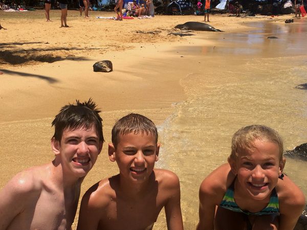 Monk seal hauled up on Poipu beach to rest.  Grand...
