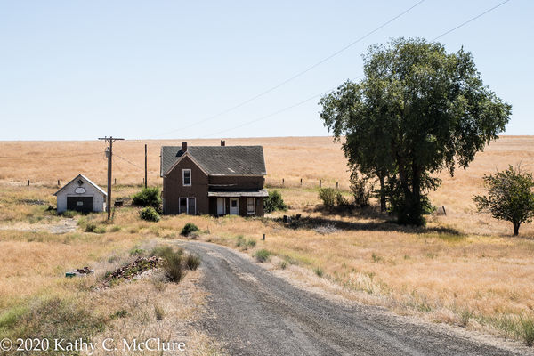 An old homestead in the Palouse....