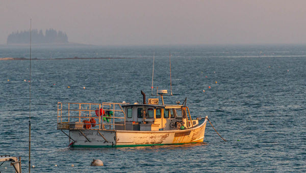 Lobster boat at sunset - common sight off Maine be...