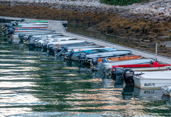 Dinghies all in a row - tomorrow they will ferry f...