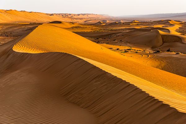 F - Oman Interior - 21 - Wahiba Sands - Sand Dunes...